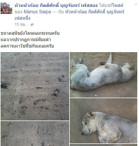 ประชด แชร์ว่อน หิมะดำ ตกที่แม่สอด เขม่าควันลอยฟุ้ง