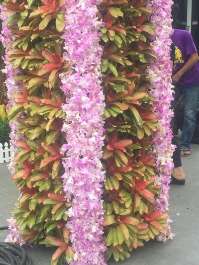 พระราชทานเพลิงศพนางนงนุช ตันสัจจา