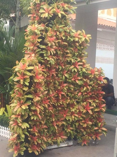 พระราชทานเพลิงศพนางนงนุช ตันสัจจา