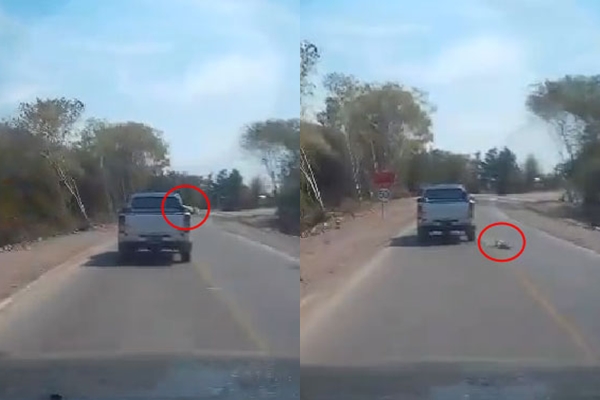 คลิปพ่อแม่ปล่อยเด็กนั่งกระบะตามลำพัง จนเด็กหล่นจากรถ