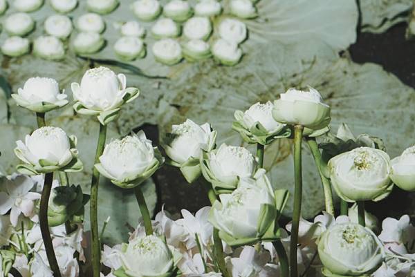 ซุ้มดอกไม้เพื่อพ่อ