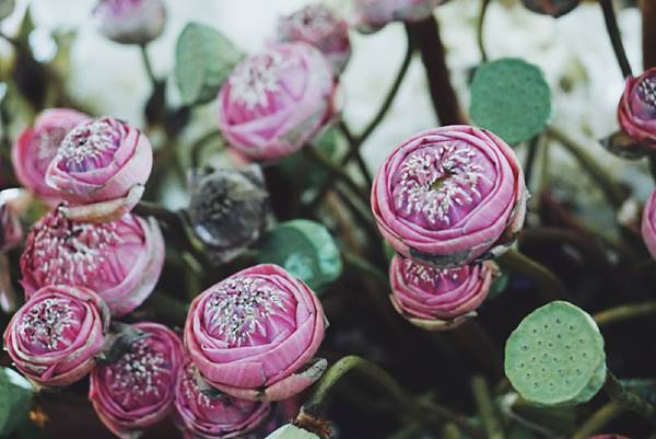 ซุ้มดอกไม้เพื่อพ่อ