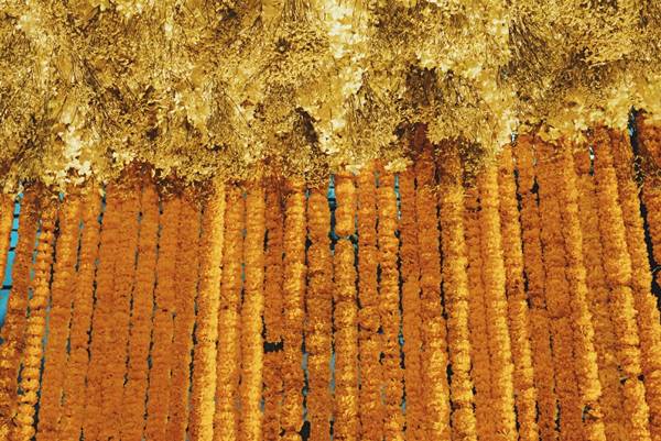 ซุ้มดอกไม้เพื่อพ่อ