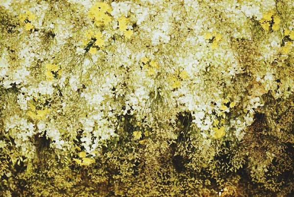 ซุ้มดอกไม้เพื่อพ่อ