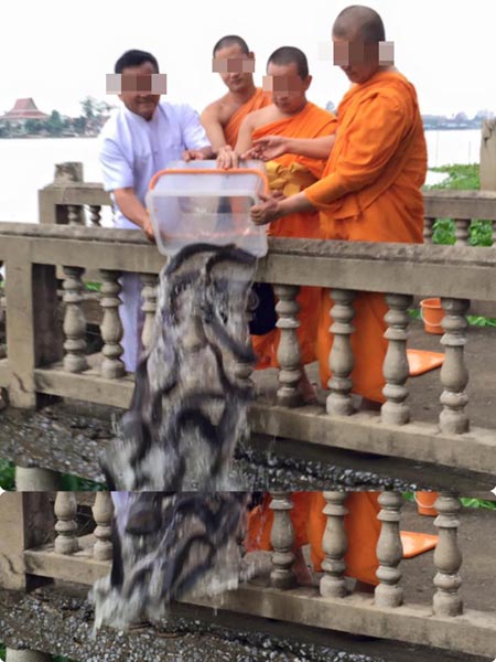 พระปล่อยปลาดุก