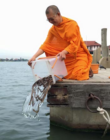พระธรรมกาย