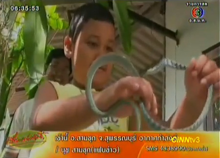 พบเด็ก 7 ขวบ ชำนาญเรื่องงู แยกได้ว่าตัวไหนมีพิษ-ไม่มีพิษ