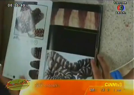 พบเด็ก 7 ขวบ ชำนาญเรื่องงู แยกได้ว่าตัวไหนมีพิษ-ไม่มีพิษ