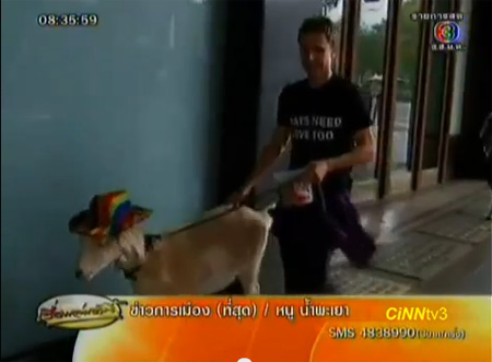 คดีพิลึก! ศาลสั่งยกฟ้อง คดีแพะกินดอกไม้ในออสเตรเลีย