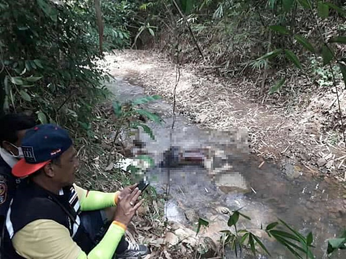 คนหายในป่า