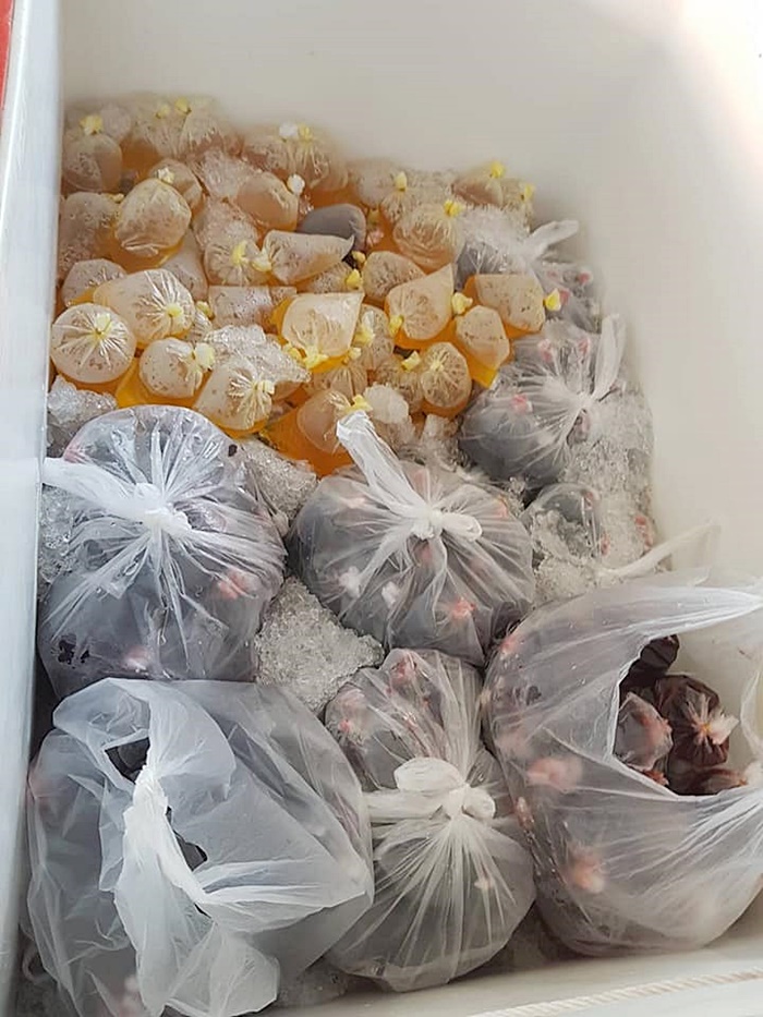 แม่ค้าถูกหลอกทำข้าวหมื่นกล่อง