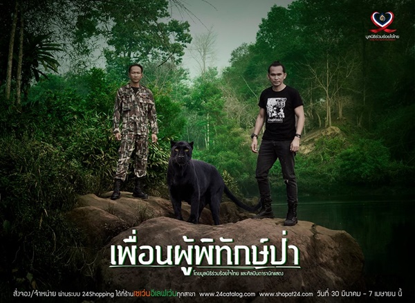 เพื่อนผู้พิทักษ์ป่า