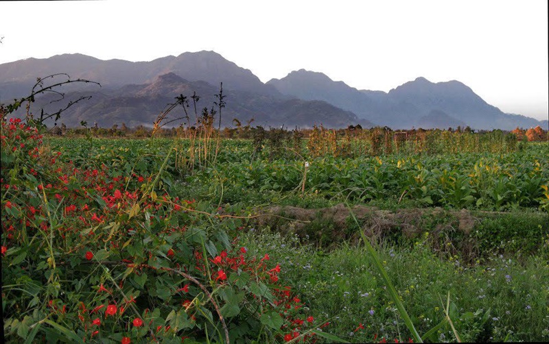 ตำนานดอยนางนอน