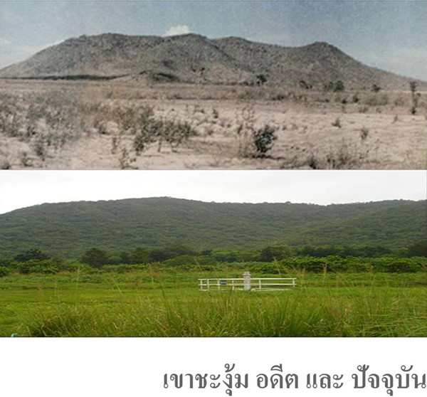 ประติมากรรม ในหลวง ร.9