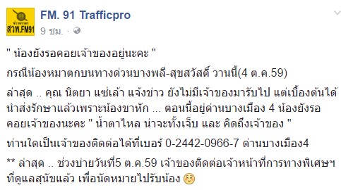 เจอแล้ว เจ้าของสุนัขโกลเด้นตกรถบนทางด่วน