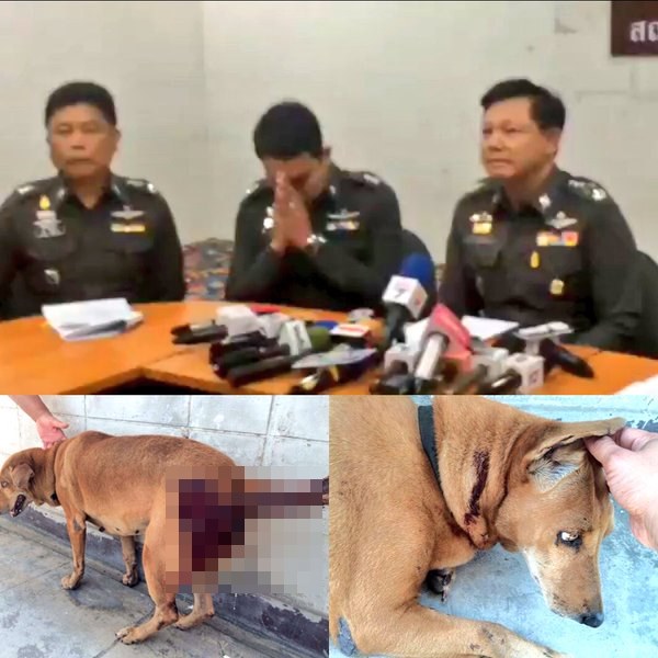 สารวัตรยิงหมาตาย