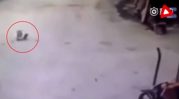 หนูน้อยนอนแนบถนนได้ทันเวลา หวิดรถบรรทุกเหยียบดับ