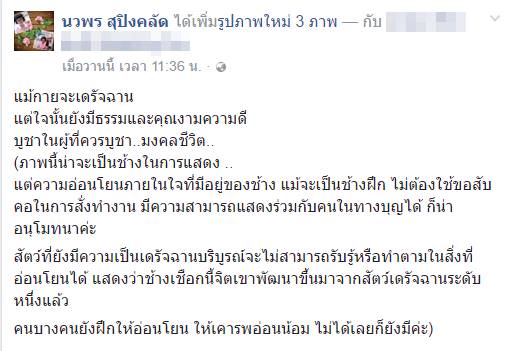 ภาพโขลงช้างเดินผ่านพระนั่งกรรมฐาน หยุดหมอบ-แสดงความเคารพ