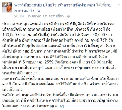  วัว 2 แม่ลูกหนีตายจากโรงฆ่าสัตว์เข้าวัด