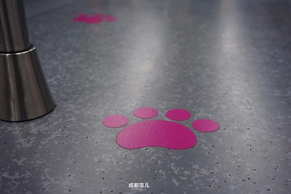 จีนเปิดตัวรถไฟฟ้าใต้ดินธีมแพนด้า