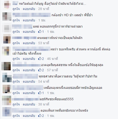 ภาพเบื้องหลัง ช้างหมอบกราบหลวงพ่อ