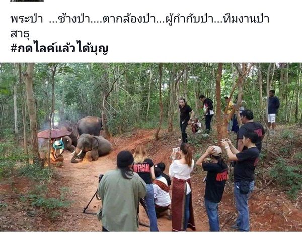 ภาพเบื้องหลัง ช้างหมอบกราบหลวงพ่อ