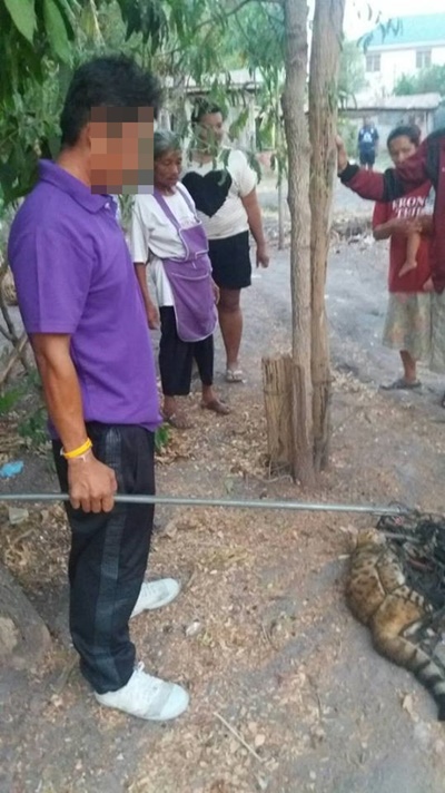 เทศบาลจับแมวเบงกอล