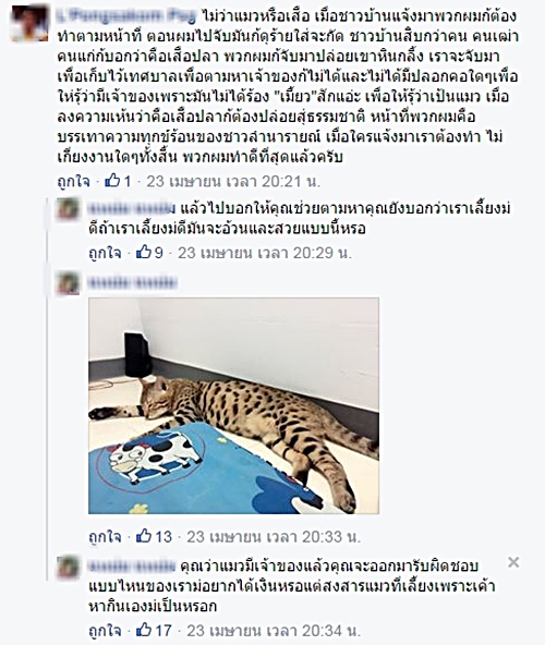 เทศบาลจับแมวเบงกอล