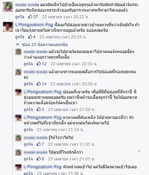 เทศบาลจับแมวเบงกอล