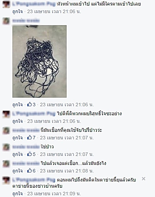 เทศบาลจับแมวเบงกอล