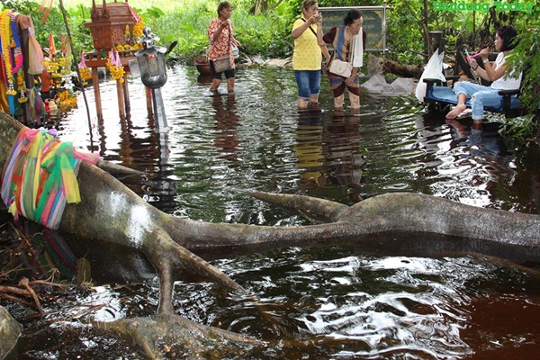 น้ำท่วมคำชะโนด