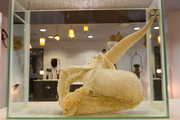 พิพิธภัณฑ์กระปู๋ที่ใหญ่ที่สุดในโลก