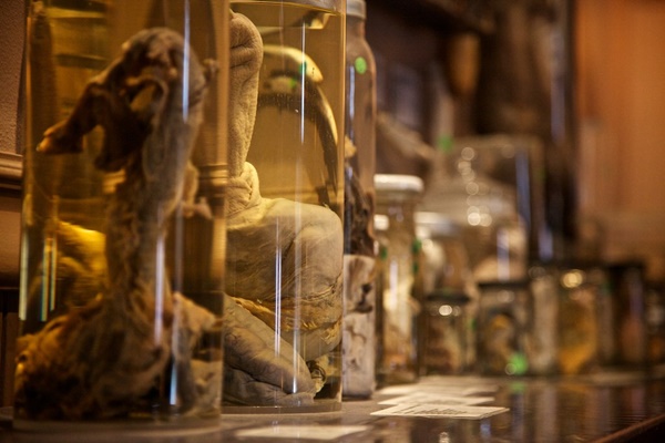 พิพิธภัณฑ์กระปู๋ที่ใหญ่ที่สุดในโลก