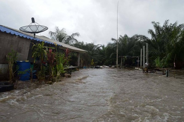 ผู้ใหญ่บ้านสุดจะกลั้น คุกเข่าไหว้รองนายกรัฐมนตรี