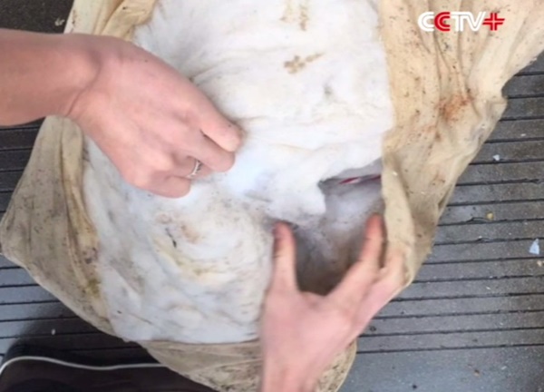 หนุ่มเผลอทิ้งเงินล้านลงถัง โร่แจ้งเทศบาลช่วย