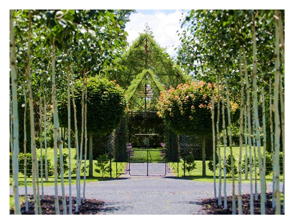 ชายหนุ่มทุ่มเวลา 4 ปี สร้างโบสถ์แสนสวยจากต้นไม้ใบหญ้า