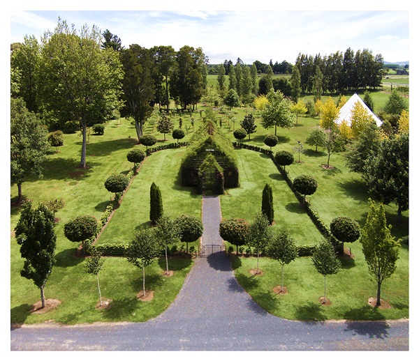 ชายหนุ่มทุ่มเวลา 4 ปี สร้างโบสถ์แสนสวยจากต้นไม้ใบหญ้า