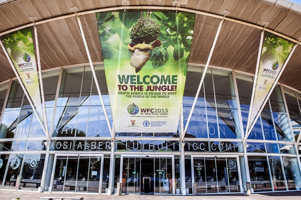 ผู้แทนไทยร่วมประชุมป่าไม้โลก-หนุนชุมชนดูแลป่าอย่างยั่งยืน