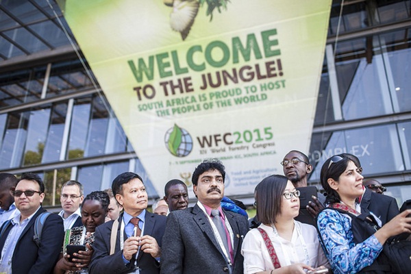 ผู้แทนไทยร่วมประชุมป่าไม้โลก-หนุนชุมชนดูแลป่าอย่างยั่งยืน