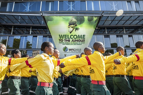 ผู้แทนไทยร่วมประชุมป่าไม้โลก-หนุนชุมชนดูแลป่าอย่างยั่งยืน