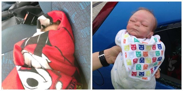 ทุบกระจกรถยับเพื่อช่วยทารก ที่แท้เป็นตุ๊กตา