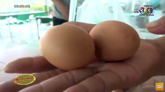 ไข่ปลอม