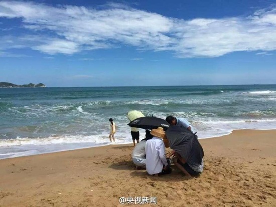 ชาวบ้านยืนกางร่มให้โลมาที่เกยหาด