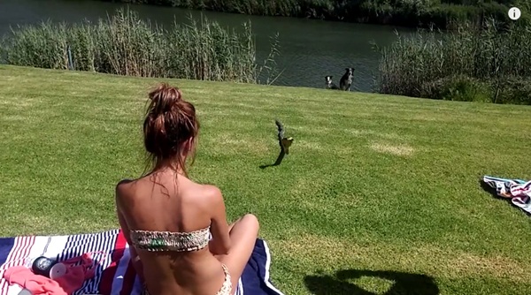 คลิปสาวฉวยงูเห่ามือเปล่าแล้วขว้างทิ้ง