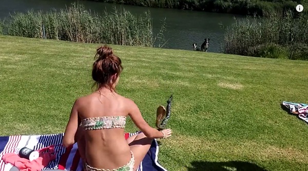 คลิปสาวฉวยงูเห่ามือเปล่าแล้วขว้างทิ้ง