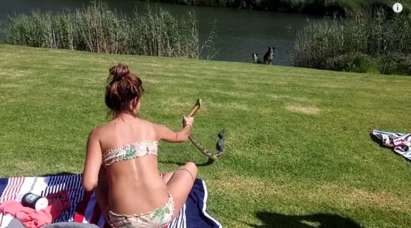 คลิปสาวฉวยงูเห่ามือเปล่าแล้วขว้างทิ้ง