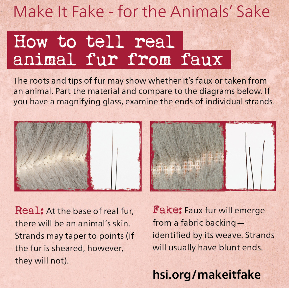 แฉคลิปโรงเชือดกระต่ายในจีน