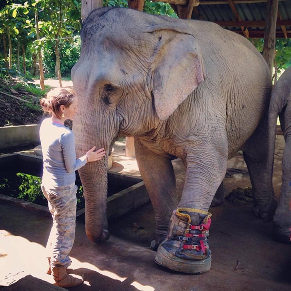 ช้างไทยเหยียบกับระเบิด