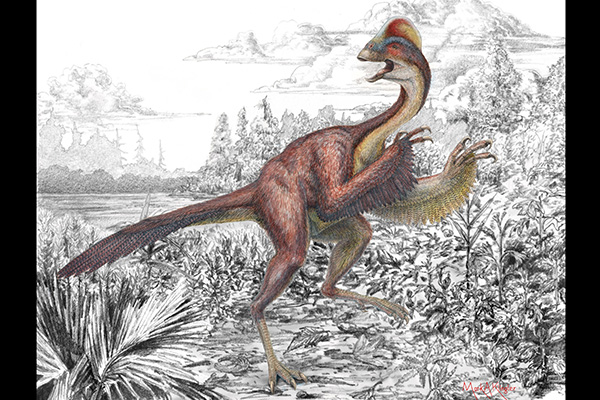 สิ่งมีชีวิตสายพันธุ์ใหม่อันน่าทึ่งแห่งปี 2015