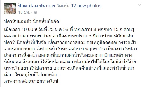 ปลาน็อกน้ำตายเกลื่อนบ่อ